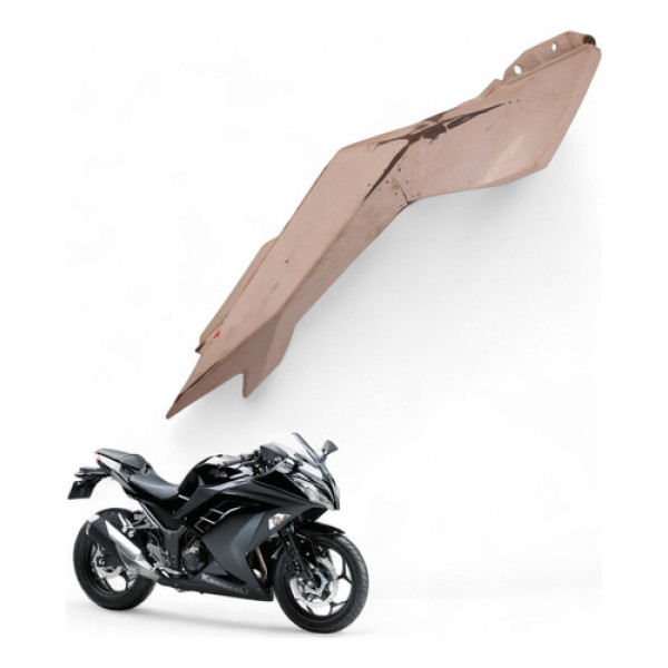 Carenagem Rabeta Direita Kawasaki Ninja 300 2013 Com Avaria