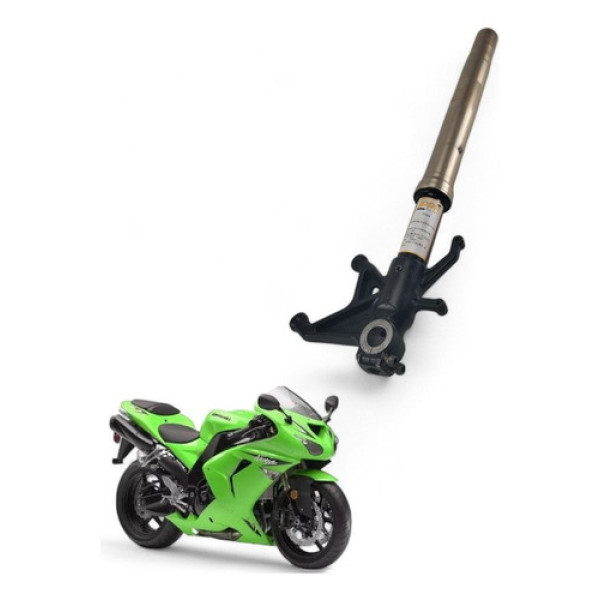 Bengala Esquerda Kawasaki Zx 10r 2007