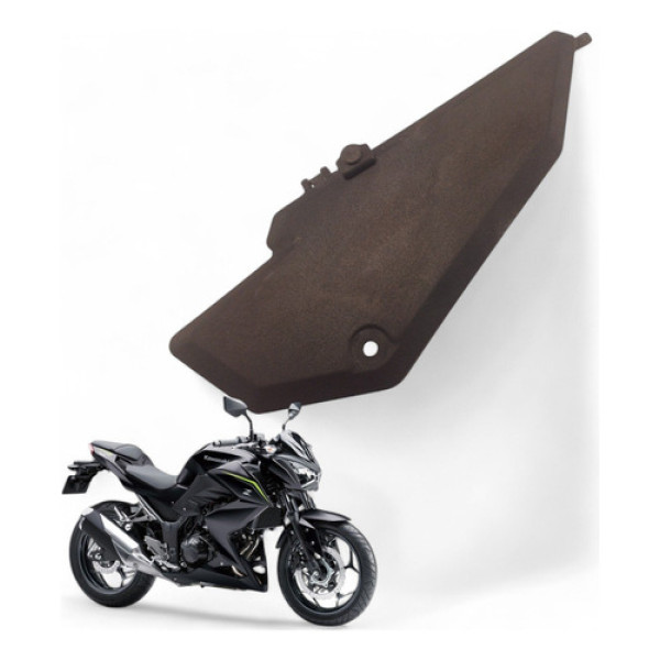 Acabamento Caixa Ar Kawasaki Z300 2019
