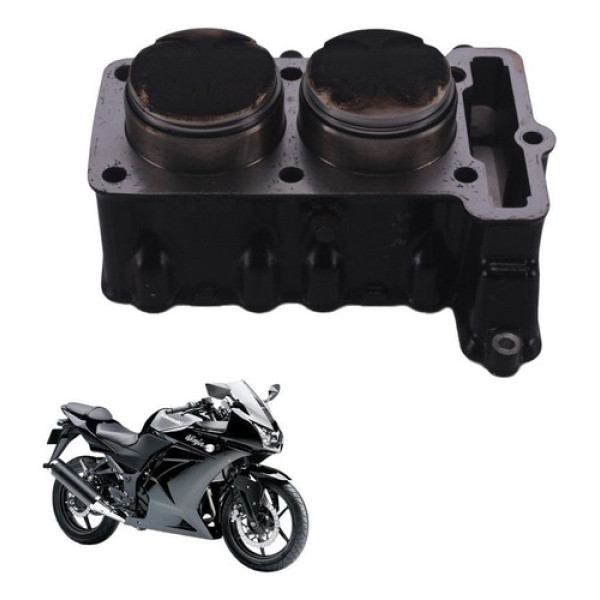 Cilindro Pistão E Aneis Kawasaki Ninja 250 2010
