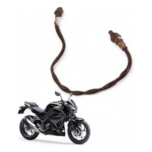 Sonda Lambda Kawasaki Z300 2019