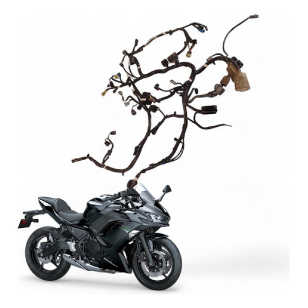 Chicote Principal Kawasaki Ninja 650 2021 Com Avaria