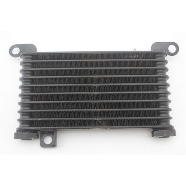 Radiador De Óleo Daytona 955