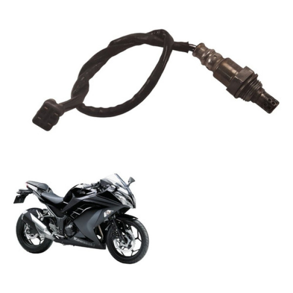 Sonda Lambda Kawasaki Ninja 300 2016