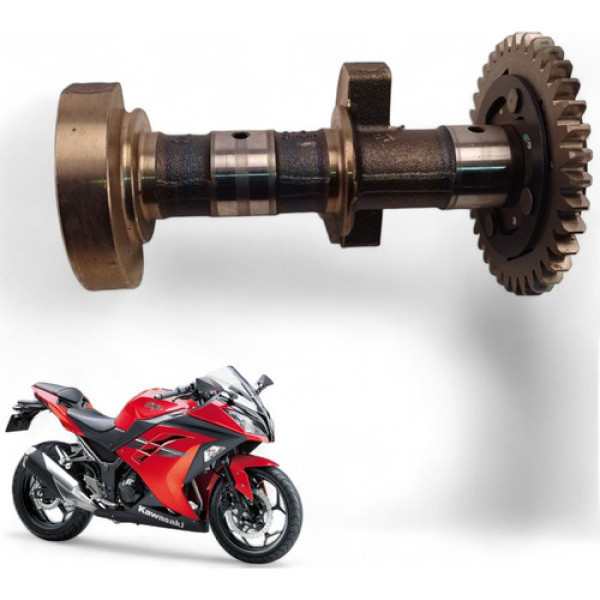 Balanceiro Kawasaki Z300 2016