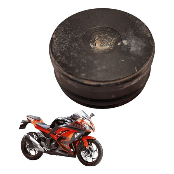 Tampa Bengala Kawasaki Ninja 300 2014