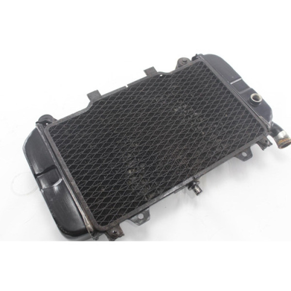 Radiador De Água Kawasaki Zx 600 (338)