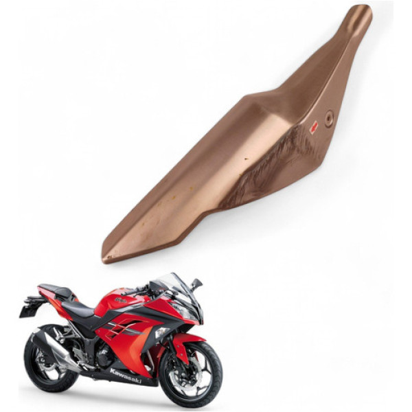 Proteção Escapamento Kawasaki Ninja 300 2013 Com Avaria