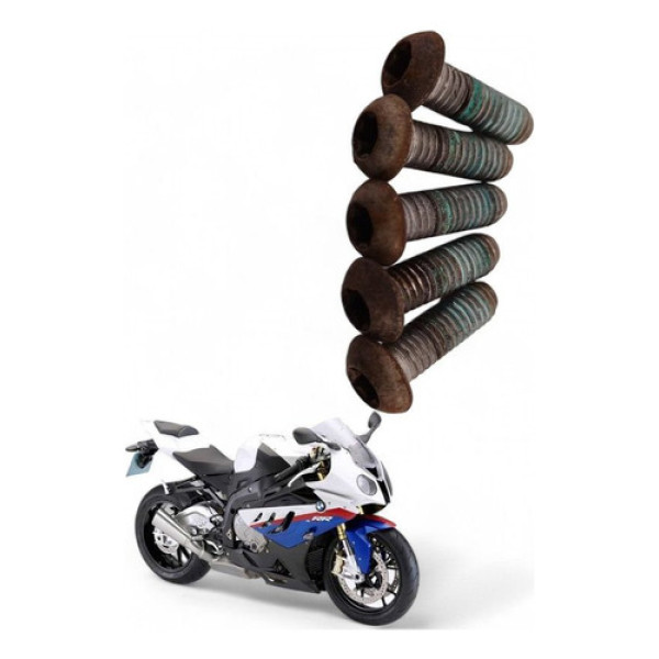 Parafuso Disco De Freio Traseiro Bmw S1000 Rr 2011