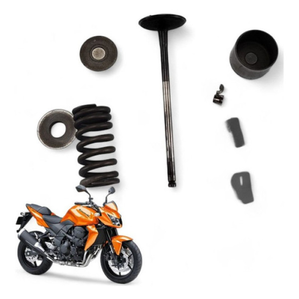 Valvula Admissão Kawasaki Z 750 2009