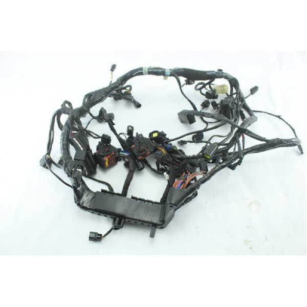 Chicote Completo Triumph Tiger 1200 Xca (364)