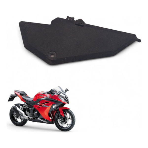 Acabamento Caixa Ar Kawasaki Ninja 300 2016