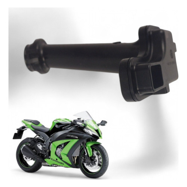 Pescador Óleo Kawasaki Zx10 R 2014