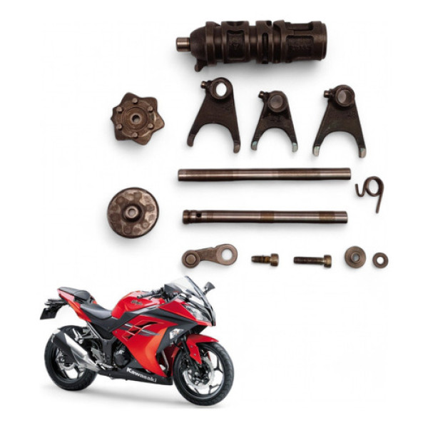 Kit Trambulador E Garfos Kawasaki Ninja 300 2014