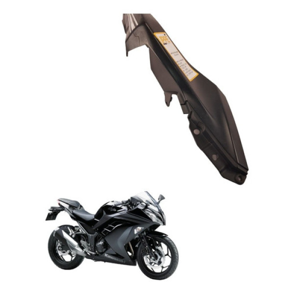 Carenagem Rabeta Esquerda Avaria Kawasaki Ninja 300 2016