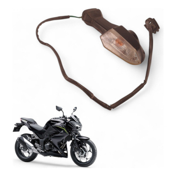 Pisca Traseiro Esquerdo Kawasaki Z300 2019