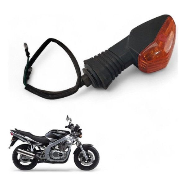 Pisca Traseiro Direito Suzuki Gs500 E 2005