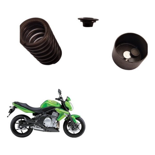 Kit Mola Valvula Kawasaki Er-6n 2012