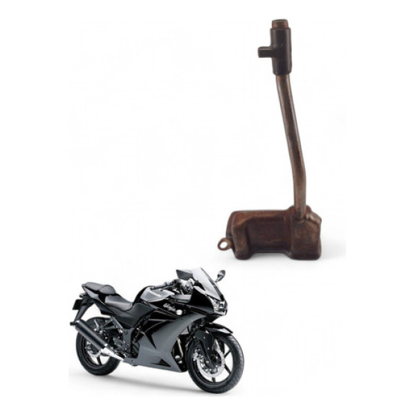 Pescador Óleo Kawasaki Ninja 250 R 2010