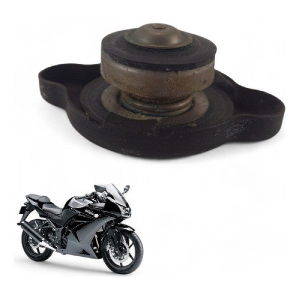 Tampa Radiador Kawasaki Ninja 250 R 2010