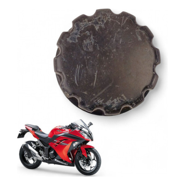 Tampa Reservatório Água Kawasaki Z300 2016