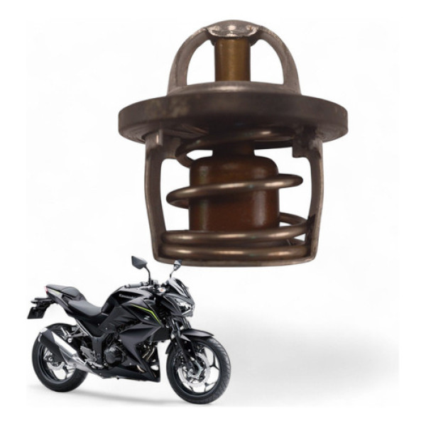 Válvula Termostática Kawasaki Z300 2019