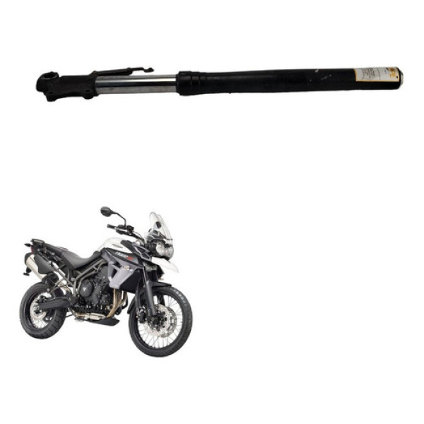 Bengala Direita Triumph Tiger 800xcx