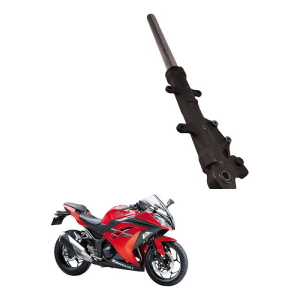 Bengala Direita Kawasaki Ninja 300 2015