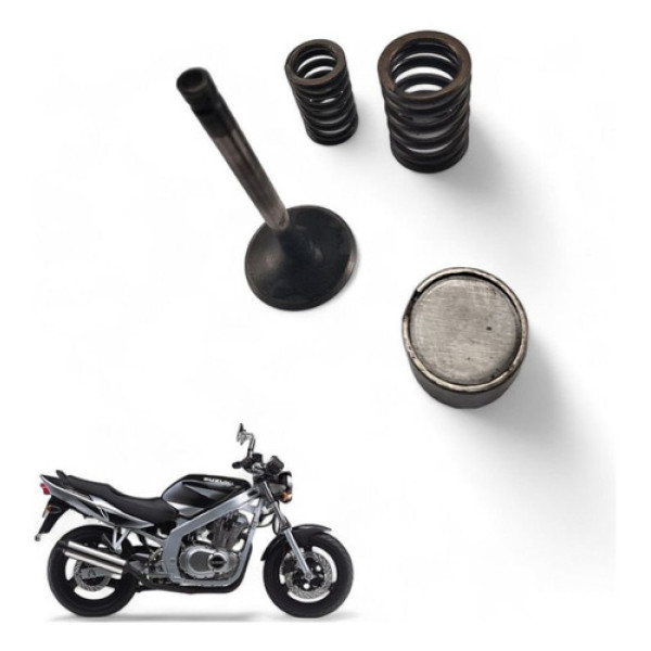 Valvula Admissão Suzuki Gs500 E 2005