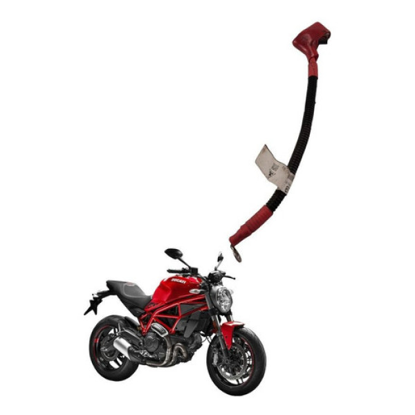 Cabo Positivo Ducati Monster 797 2018