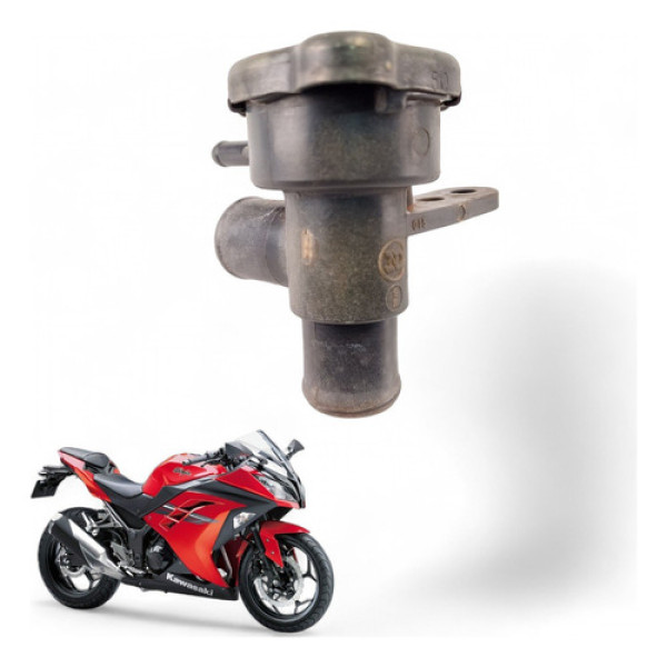 Bocal Radiador Kawasaki Ninja 300 2013