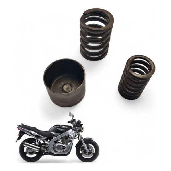 Kit Mola Valvula Suzuki Gs500 E 2005