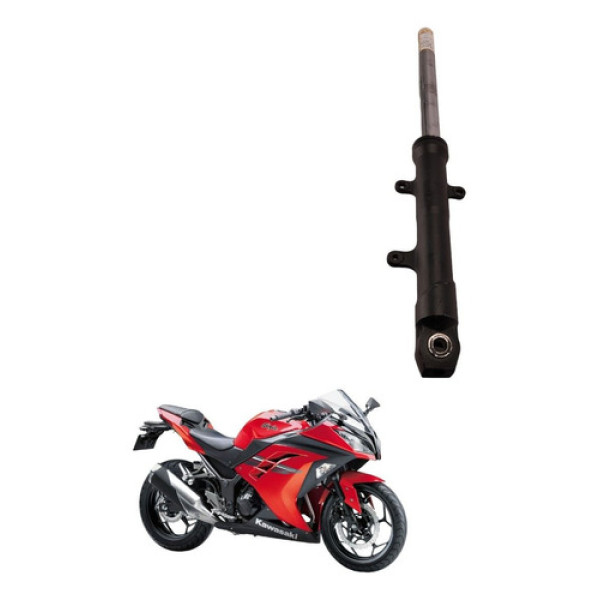 Bengala Esquerda Kawasaki Ninja 300 2015