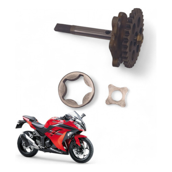 Bomba Óleo Kawasaki Ninja 300 2017
