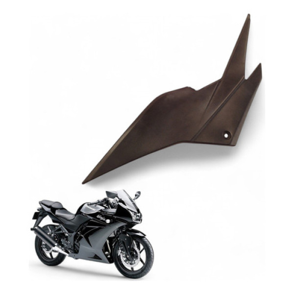 Acabamento Lateral Esquerdo Kawasaki Ninja 250 R 2010