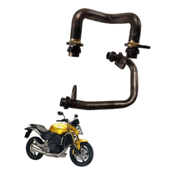 Cano Oleo Honda Hornet 2010