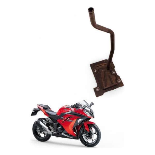 Pescador Óleo Kawasaki Ninja 300 2017