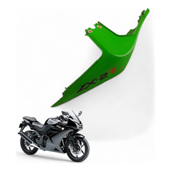 Carenagem Rabeta Direita Kawasaki Ninja 250 R 2009 Com Avari