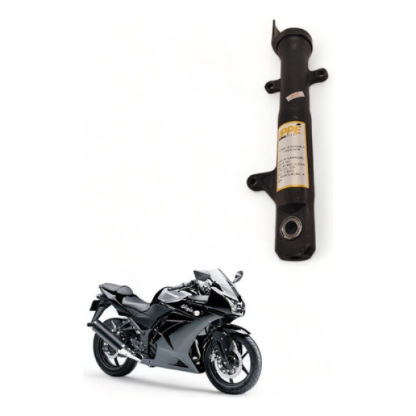 Canela Bengala Esquerda Kawasaki Ninja 250 2009