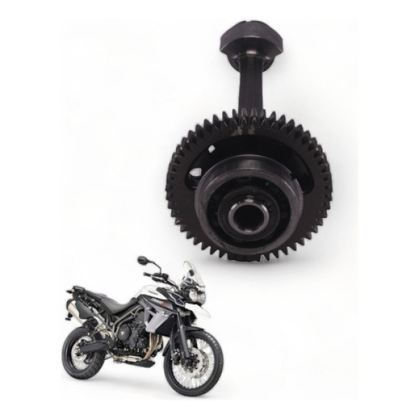 Balanceiro  Triumph Tiger 800xc 2014