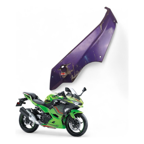 Spoiler Inferior Esquerdo Kawasaki Ninja 400 2019 Com Avaria